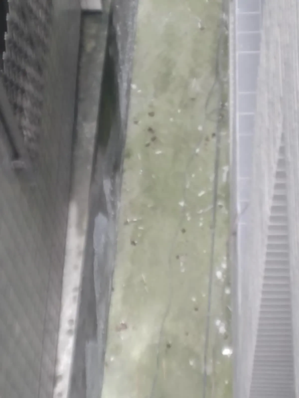 游宅白鐵網鋼構製作工程｜完工實景