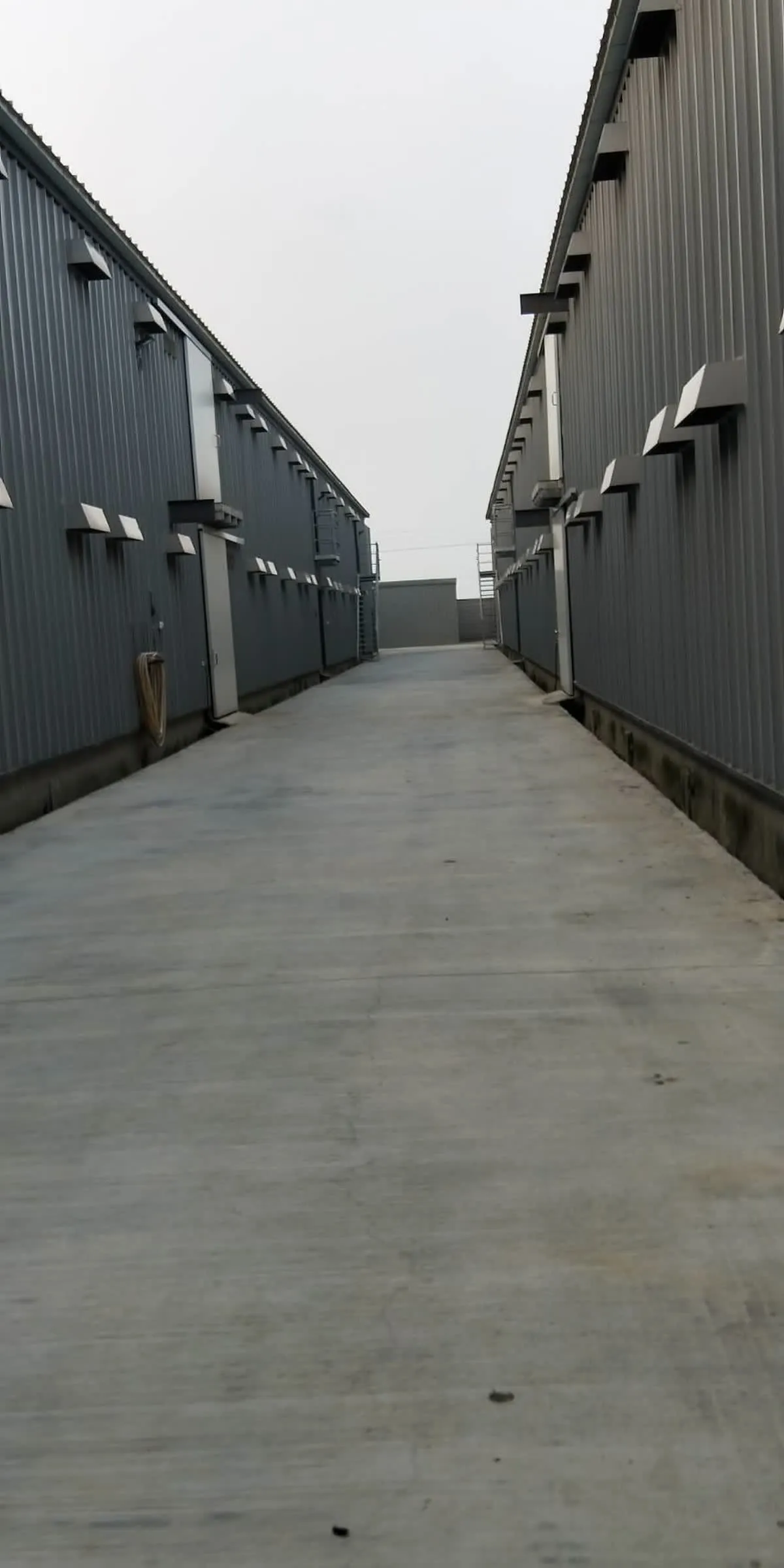 水林(昌揚)鋼構製作工程｜完工實景