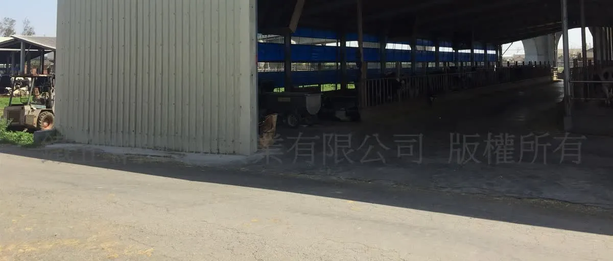 豪泉牧場場區新建與增建工程|牛舍與牛群